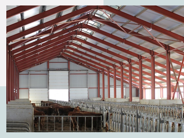 Строительство коровников в Новороссийске