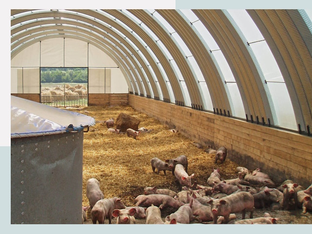 Строительство свинарников в Новороссийске