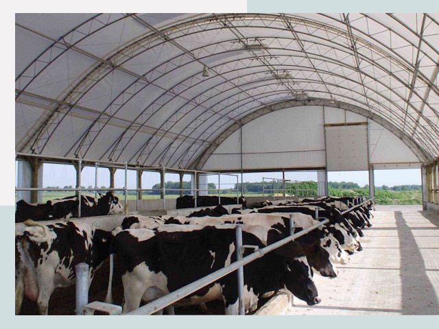 Тентовые коровники в Новороссийске